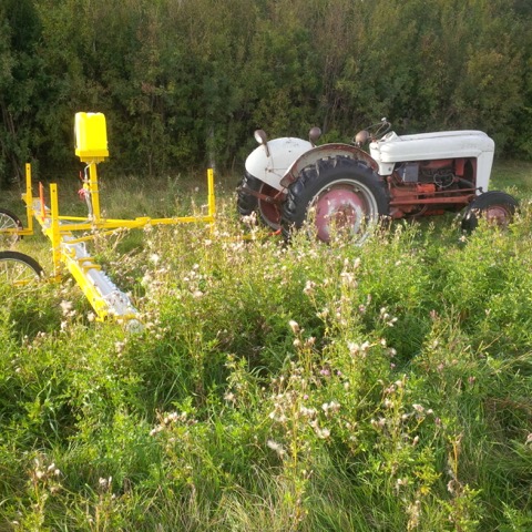 About Us Tractor In Weeds